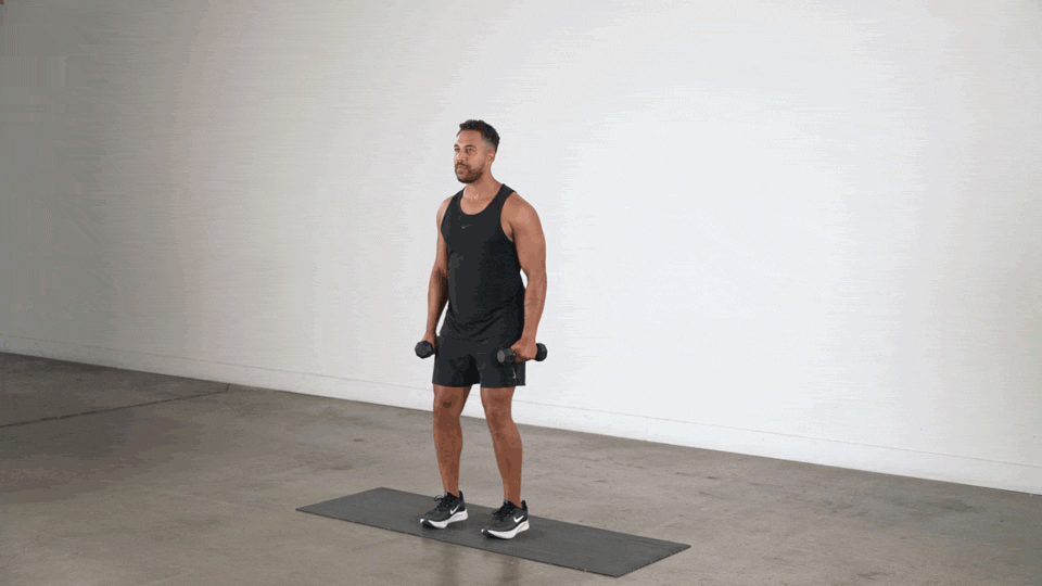 Dumbbell lateral raise demonstration